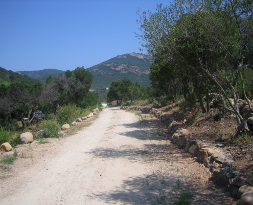 ein Weg an der korsischen Küste