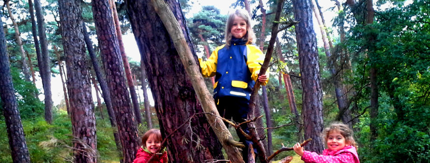 kletternde Kinder im Wald